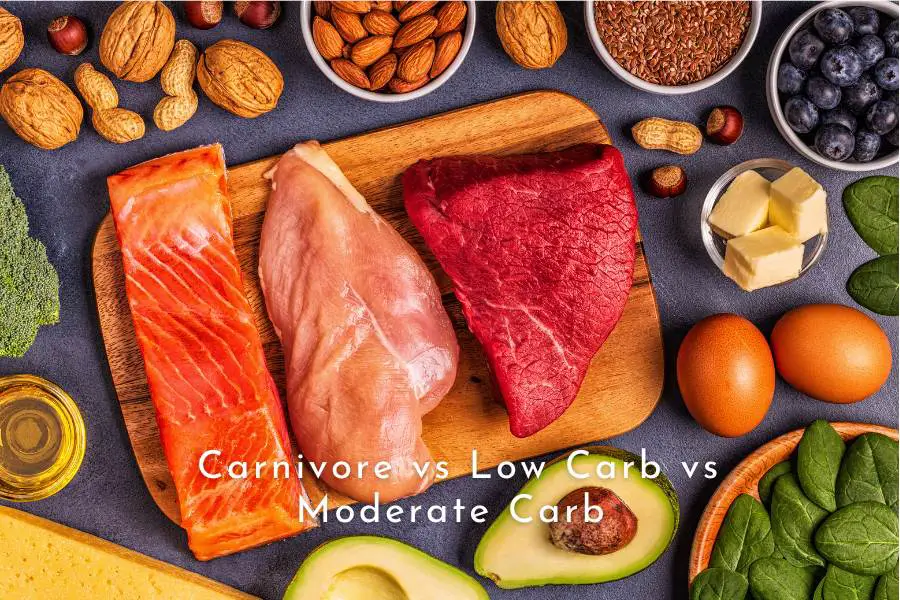 Carnivore vs Low-Carbs vs Moderate-Carbs vs High-Carbs -AllThingsCarnivore